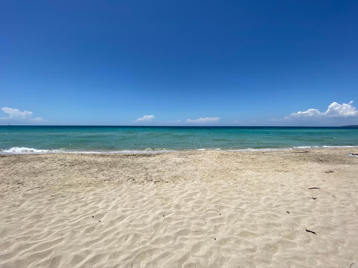 La Fenice Sulla Gallipoli