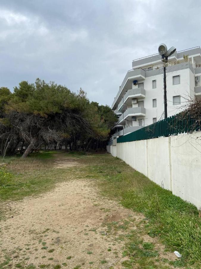 La Fenice Sulla * Gallipoli